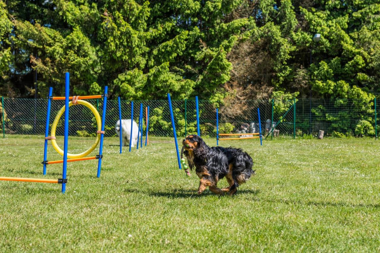 Domy Morskie Dog Friendly Янтар Екстер'єр фото