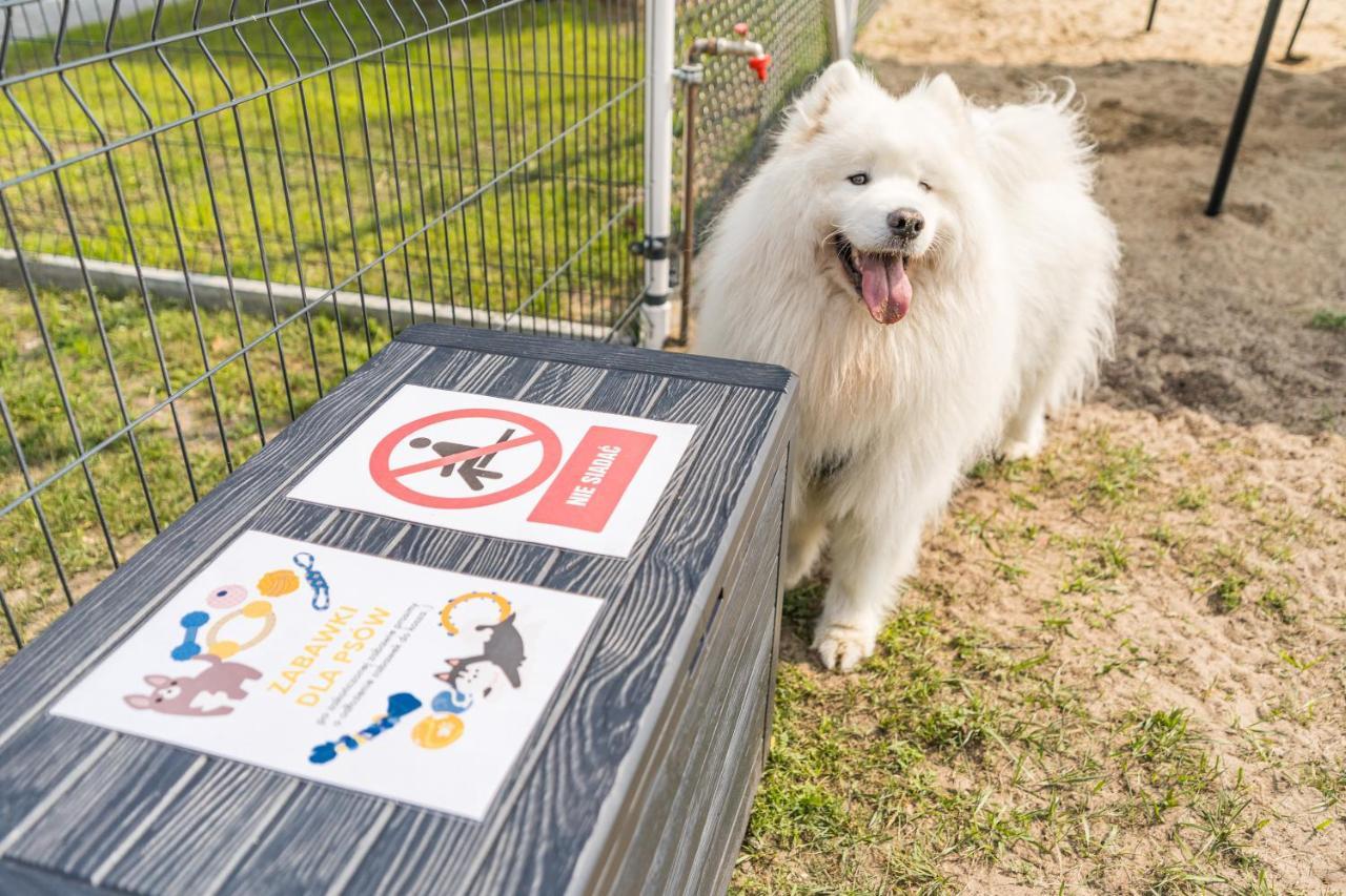 Domy Morskie Dog Friendly Янтар Екстер'єр фото